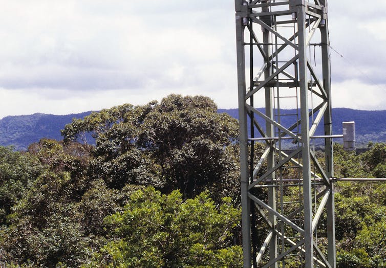 A tall metal structure emerging from the forest canopy in Venezuela.