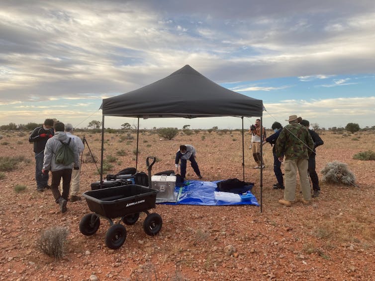 The Hayabusa2 spacecraft is about to drop a chunk of asteroid in the Australian outback