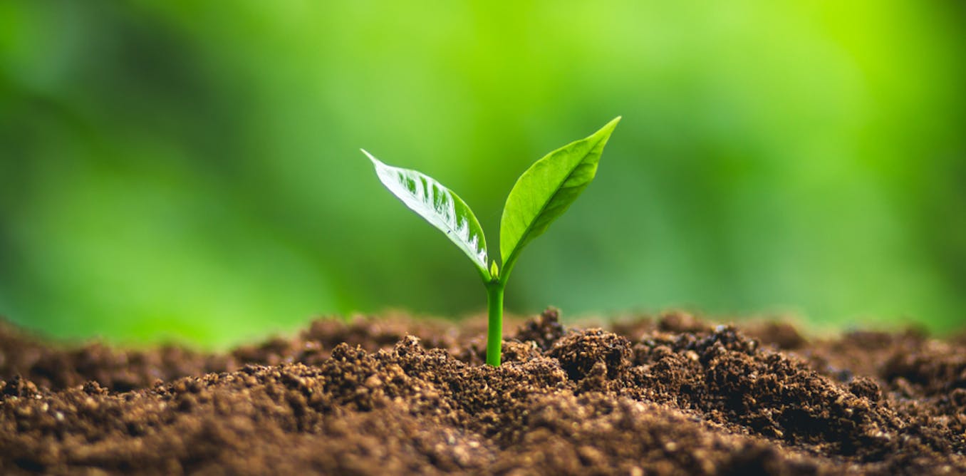 Garbage pail Food and clean water start with soil biodiversity: learning more about it is urgent