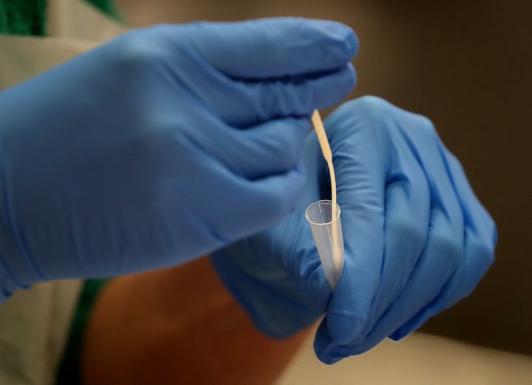 Two gloved hands handling a swab.