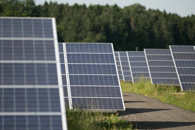 Solar panels arranged in a solar farm.