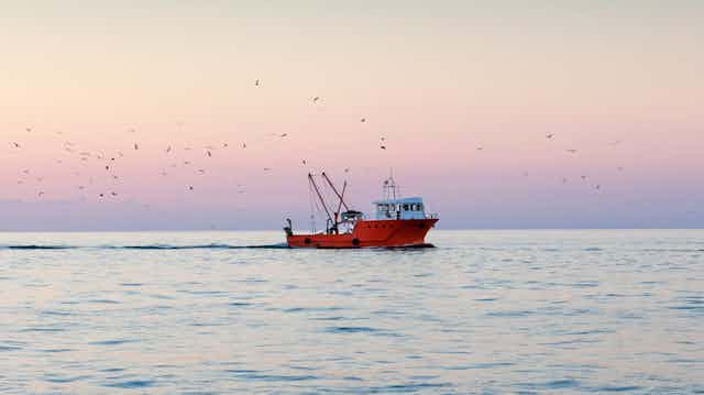 A red fishing boat bobs on a calm ocean.