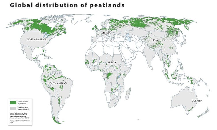 Peta menunjukkan distribusi global dari lahan gambut.
