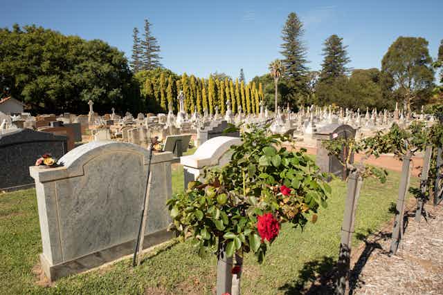 view of headstones in traditional cemetery