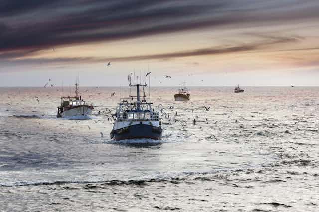 Cuatro barcos pesqueros faenando en el mar.
