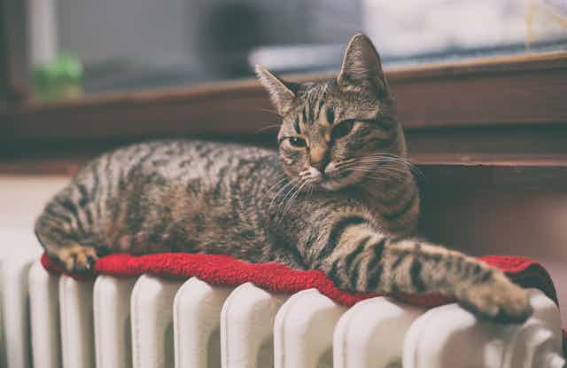A tabby cat lies on top of a radiator.