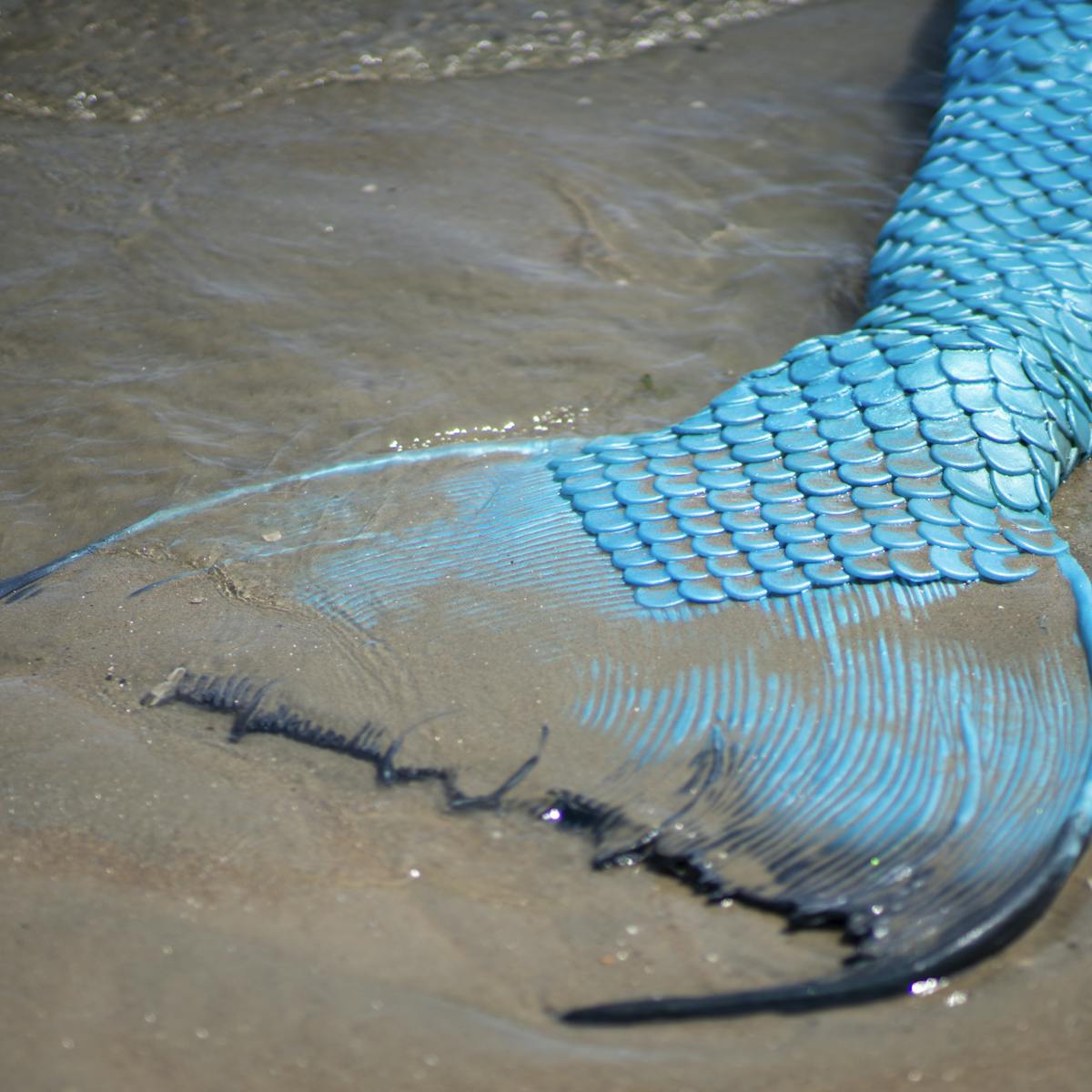 Mermaids aren't real – but they've fascinated people around the ...