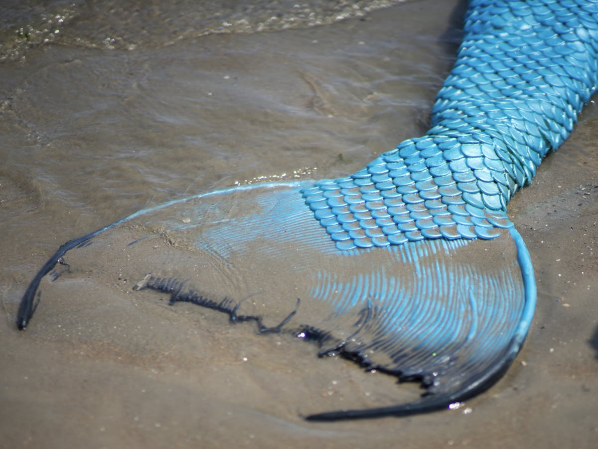 Mermaids aren't real – but they've fascinated people around the ...