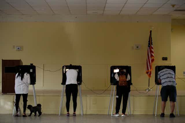 People stand at voting booths.