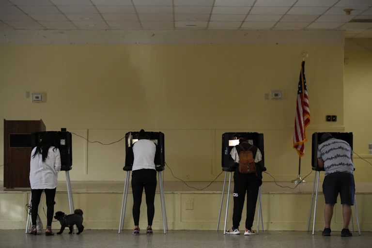 People stand at voting booths.