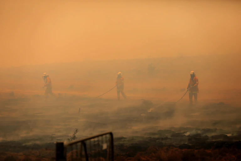 Firefighters putting out a bushfire