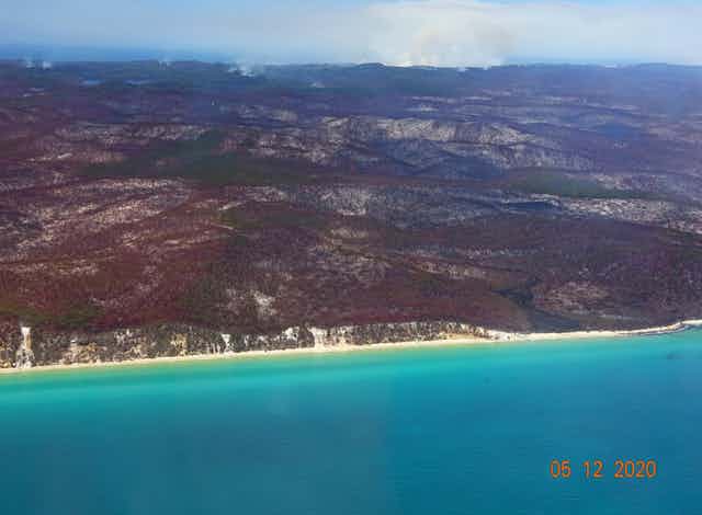Aerial image showing burnt bushland by the ocean