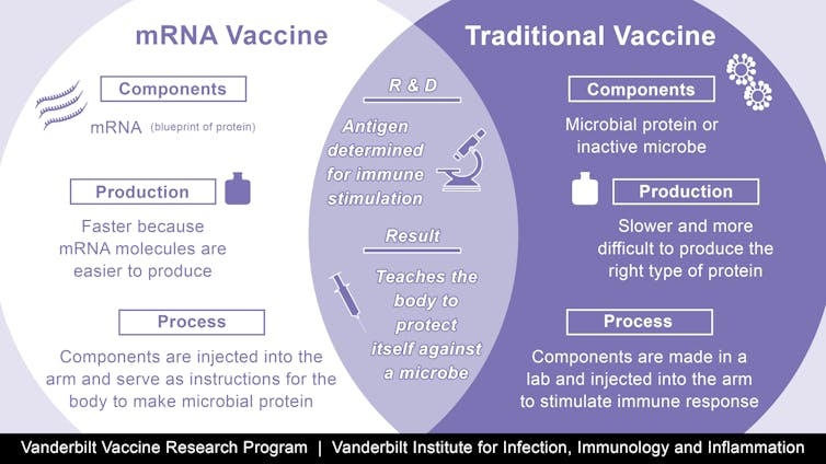 Explanation of mRNA