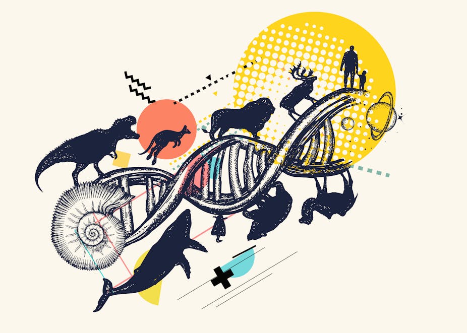 Camille 8 Ans Pourquoi L Etre Humain Est Il Plus Evolue Que Les Autres Animaux Camille 8 Ans Pourquoi L Etre Humain Est Il Plus Evolue Que Les Autres Animaux