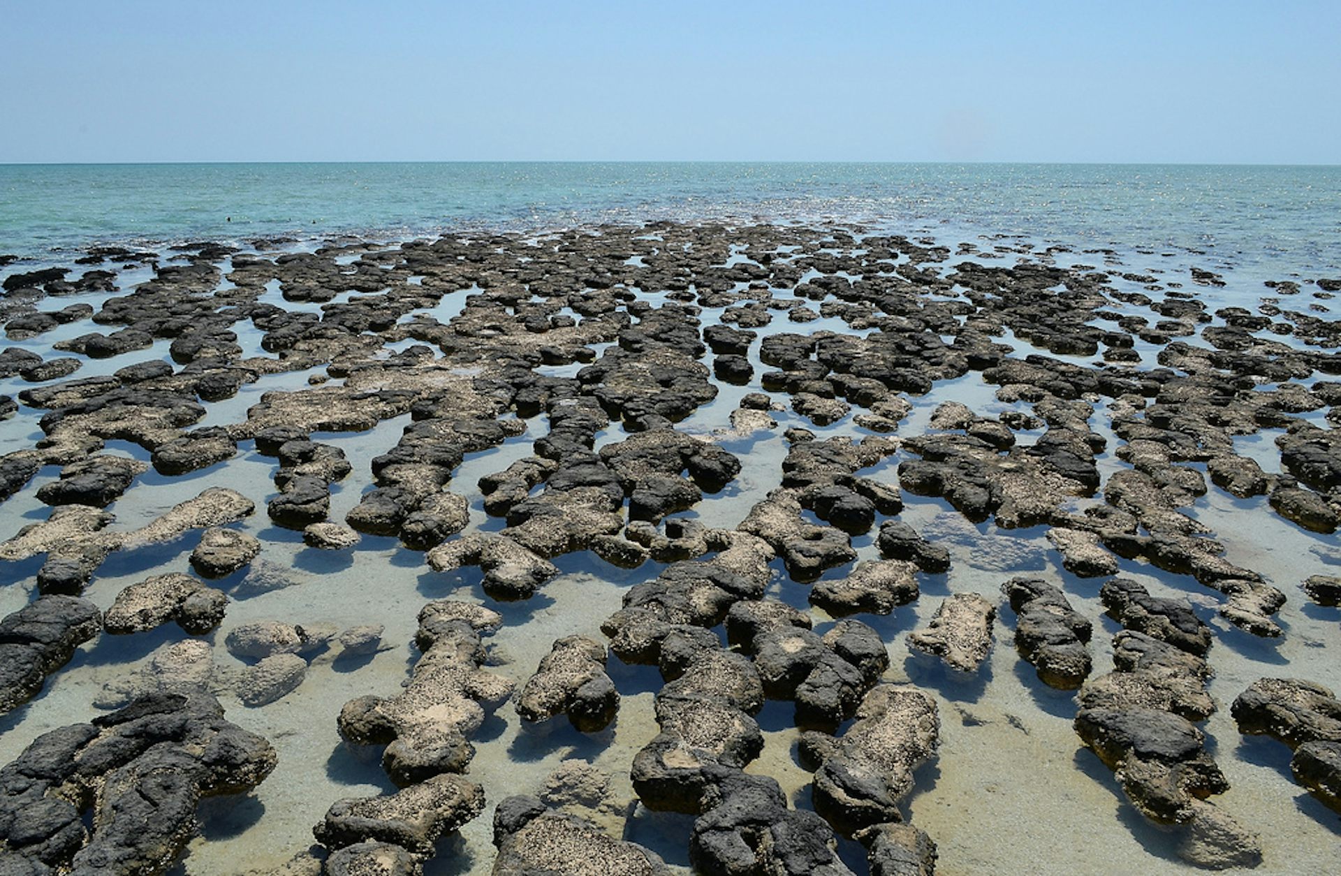 Hybrid Hive Eat Shard? (Worm/MGLN) Crossover Page 591