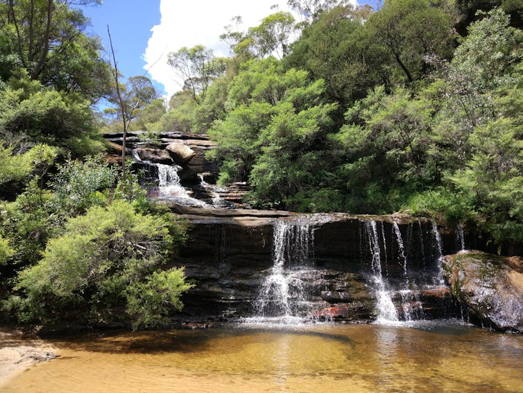 Wentworth Falls.