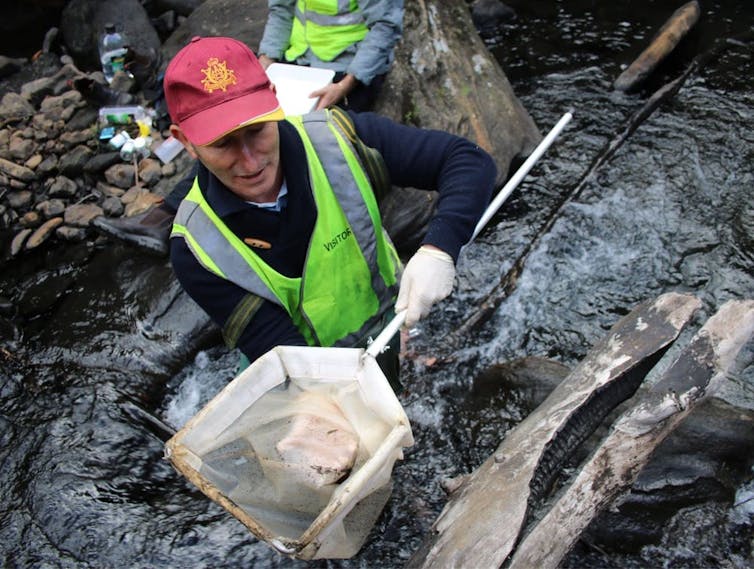 The author, Ian Wright, sampling water in the contaminated Wollangambe River.