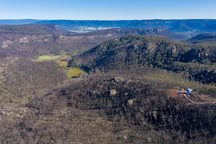 Blackened Blue Mountains bushland