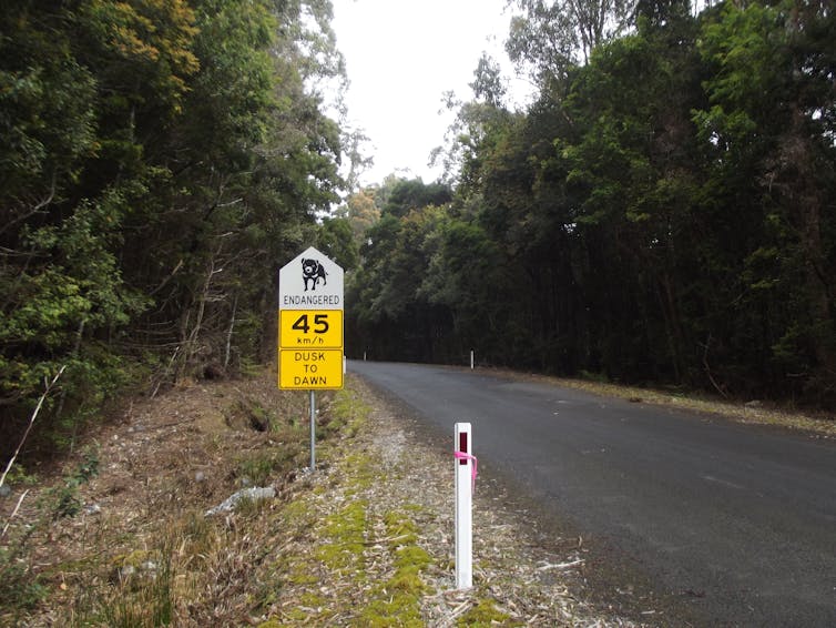 Tasmanian devil road sign