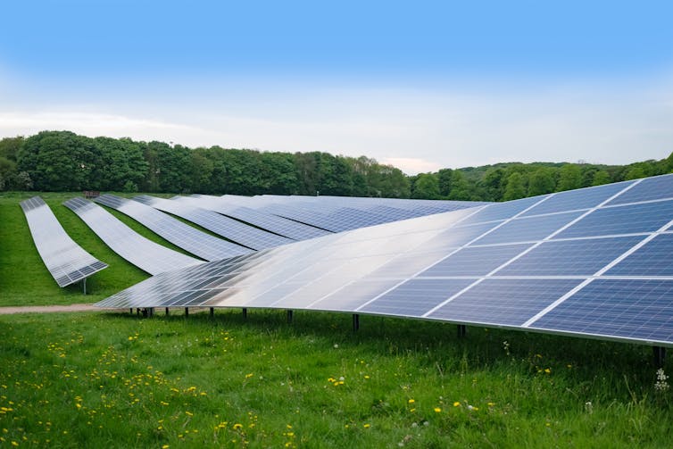 A row of solar panels arranged on an English field in the summer.