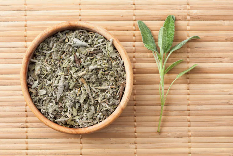 Dried and fresh sage.