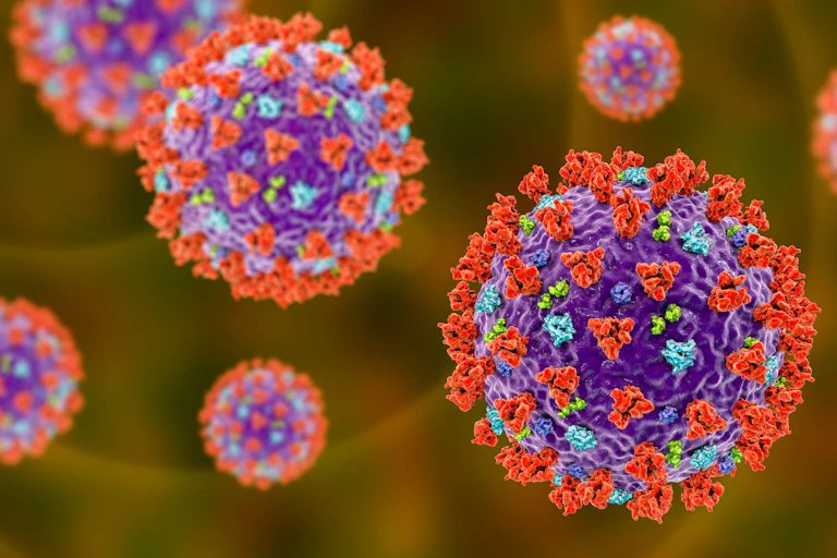 Colourful coronaviruses