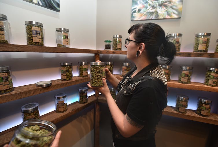 Woman browses various types of marijuana in glass jars on shelves, in well-lit, upscale setting