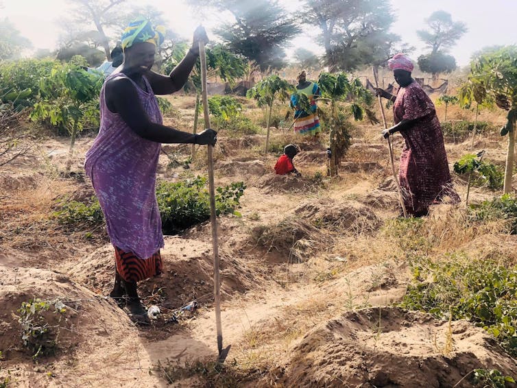 Women working in a field.
