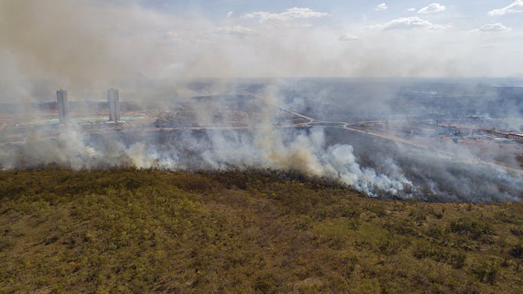 A forest fire near the city of Cuiaba, Brazil, August 2020. Rogerio Florentino / EPA Aerial photo of a forest fire with tall buildings visible in background through smoke.