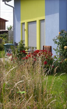 Picture of a house frontage and garden