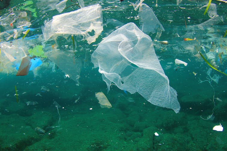 Plastic bag floats in the ocean.