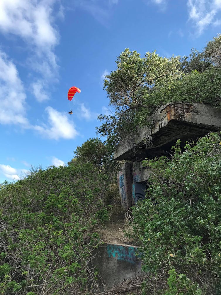 An overgrown site of one of the coast al defences.