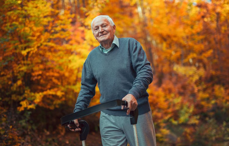 Elderly man with walker out walking in a beech wood in autumn.