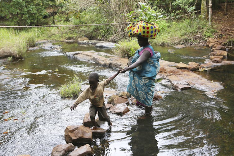 A mother carrying coffee plant seedlings on her head holds her child's hand as they walk on rocks to cross a river.