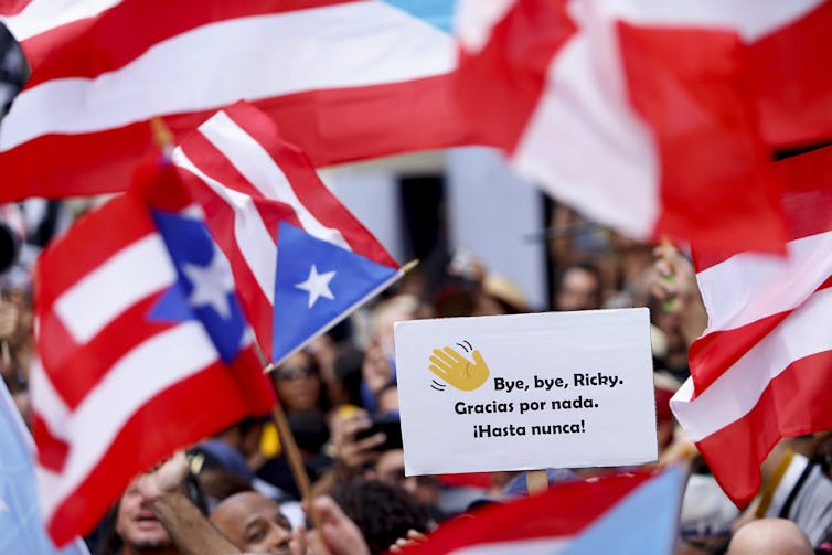 Puerto Rican flags and signs above a crowd