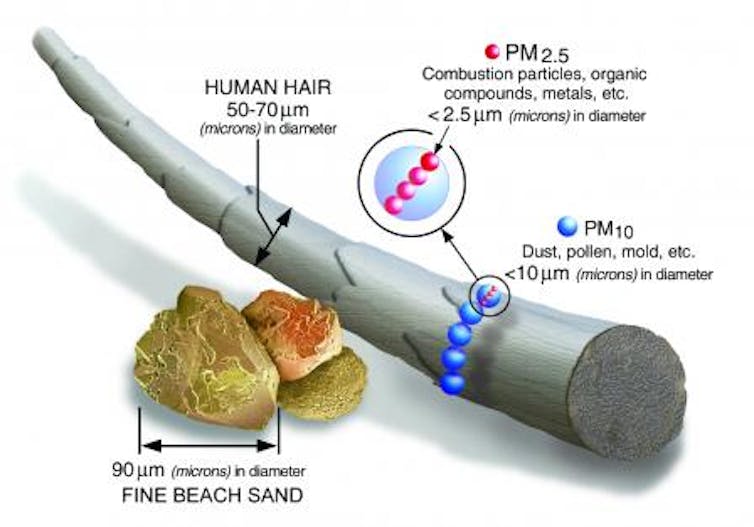 Illustration of the size of PM2.5 compared to a human hair and grain of sand.