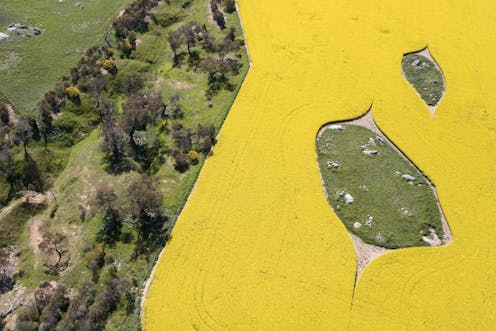 The Future Of Agriculture Why Unis Must Prepare Students To Secure Both Our Food And Our Planet The Future Of Agriculture Why Unis Must Prepare Students To Secure Both Our Food And Our Planet