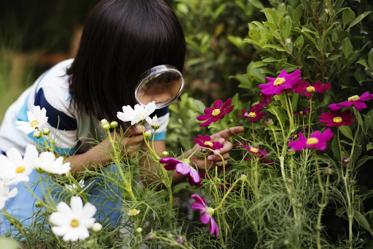 Child looking at flowers through a magnifying glass.