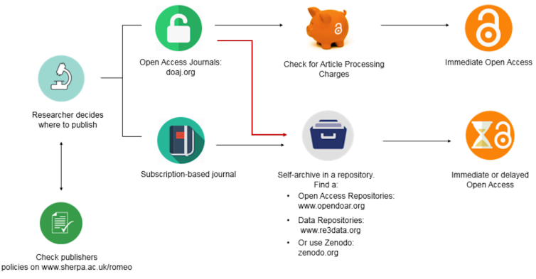 Chart showing open access publication options