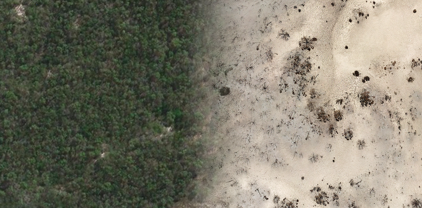 Before and after: 4 new graphics show the recovery from last summer’s bushfire devastation