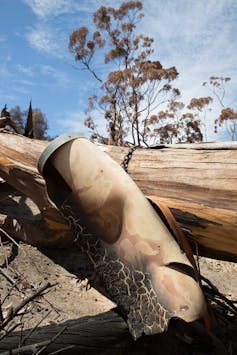 A nest box that melted in the fires.