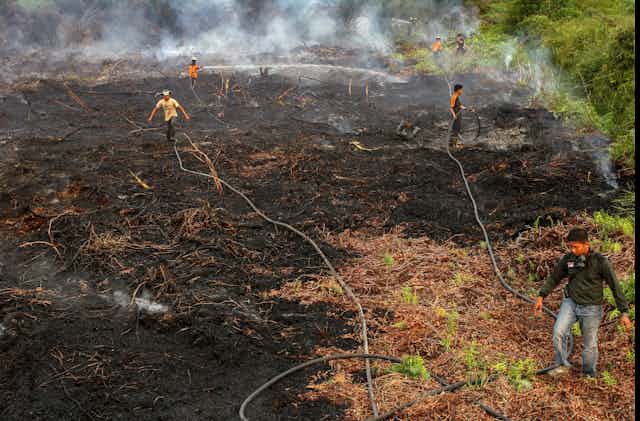 Men standing on burned peat forests holding water hoses.