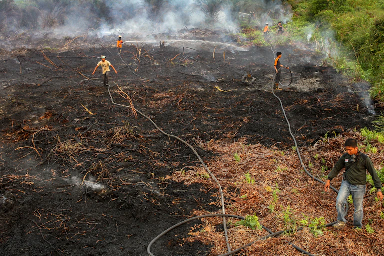 Men standing on burned peat forests holding water hoses.