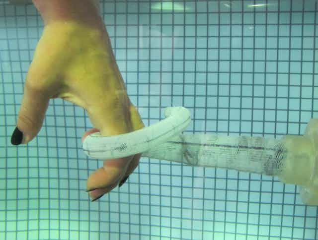 Main attrapée par une tentacule robotisée, sous l'eau