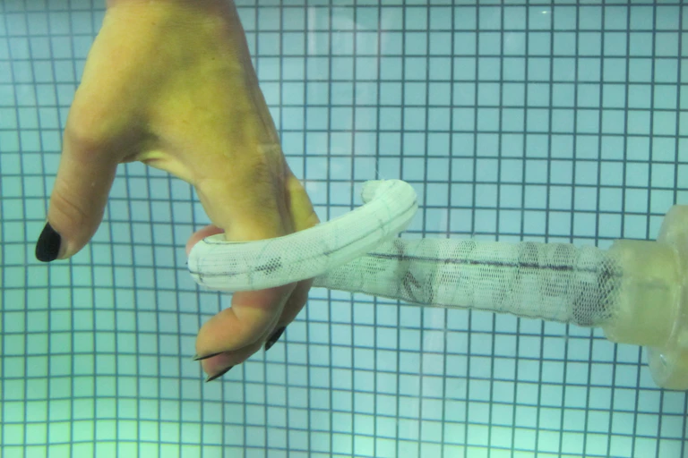 Main attrapée par une tentacule robotisée, sous l'eau