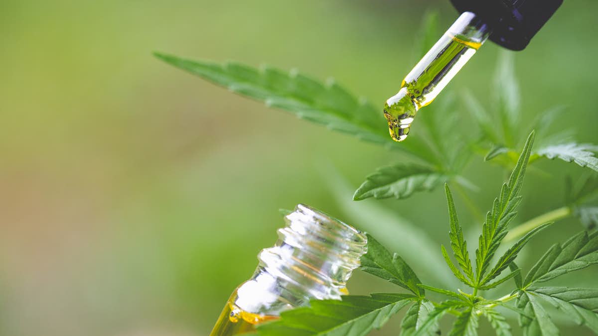 Todo lo que debemos saber sobre el cannabidiol Todo lo que debemos saber sobre el cannabidiol