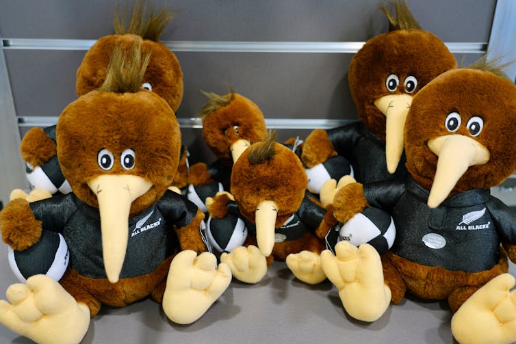 Soft toy kiwi souvenirs