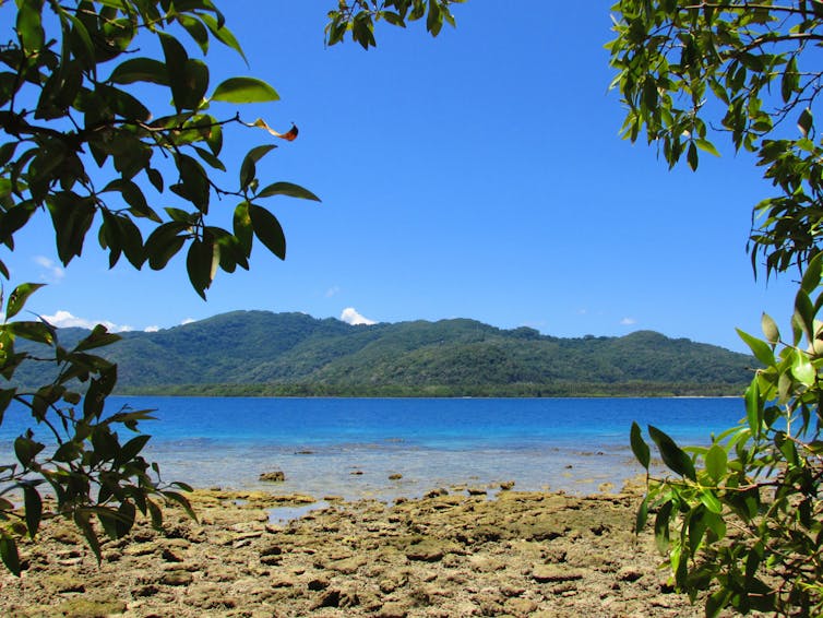 Landscape in Malekula Island