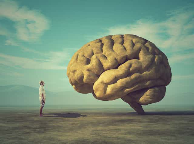 Image of a man looking at a giant rock in the shape of a brain.