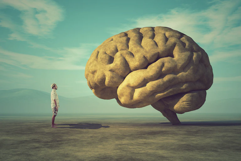Image of a man looking at a giant rock in the shape of a brain.